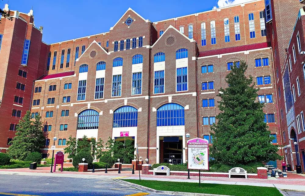 School or College Transfers