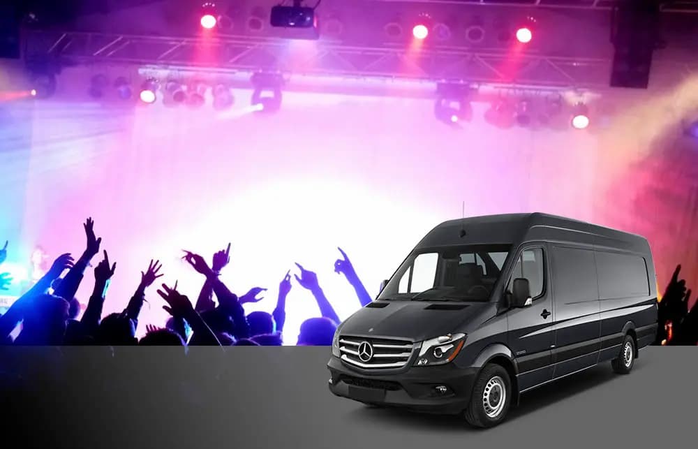 Concerts and Night Outs